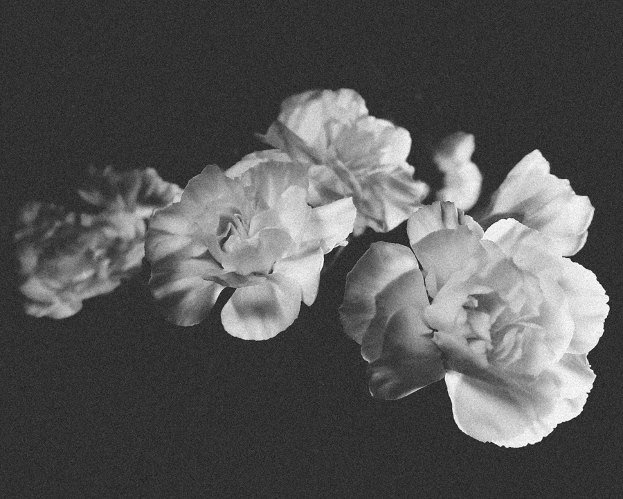 mobile pone photography