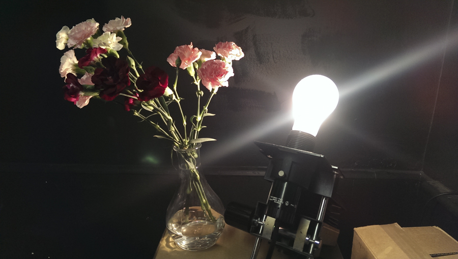 mobile pone photography