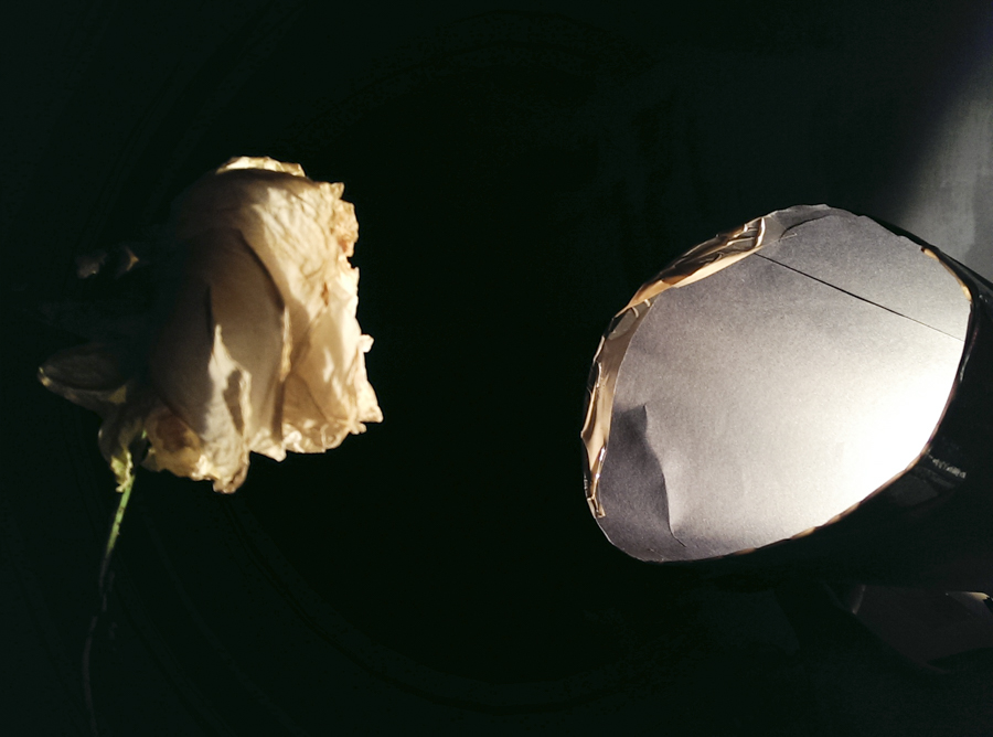 mobile phone photography