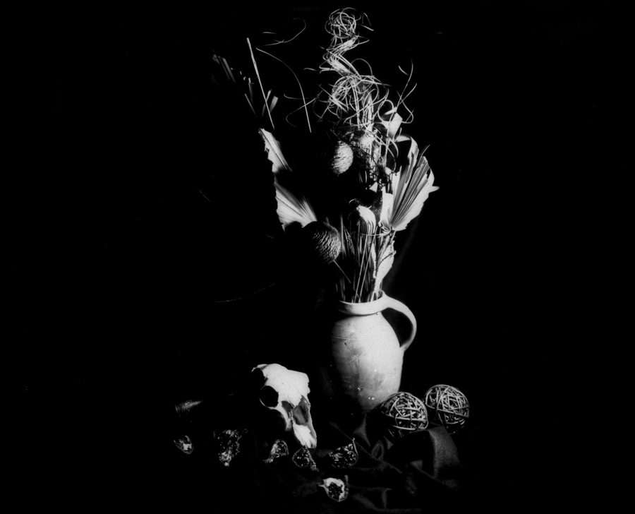 still life photography