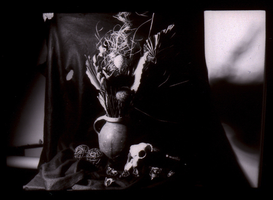 still life photography