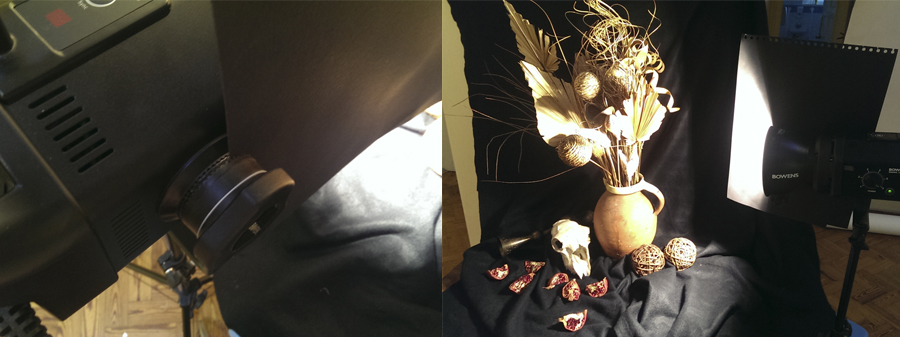 still life photography