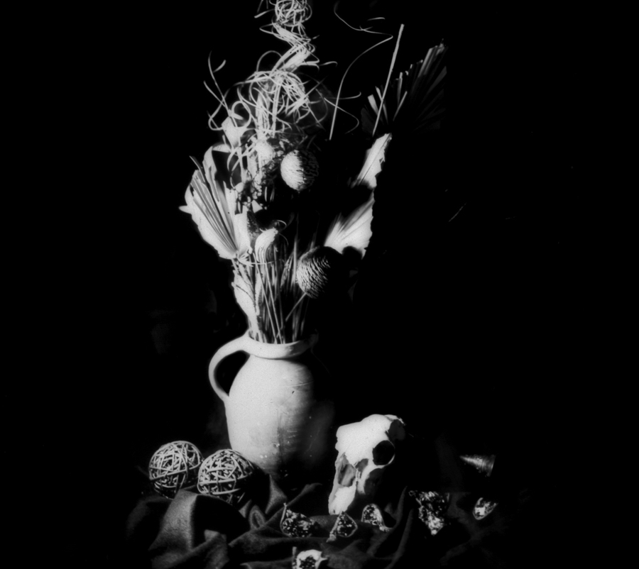 still life photography