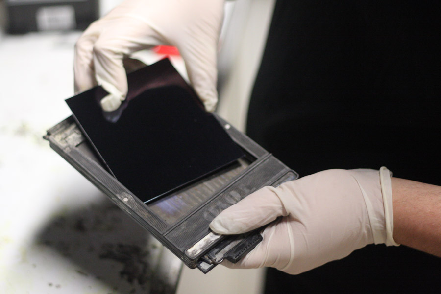 loading a 4x5 negative