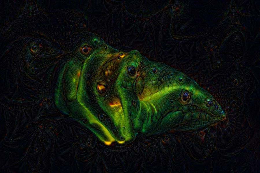 google deep dream photography project