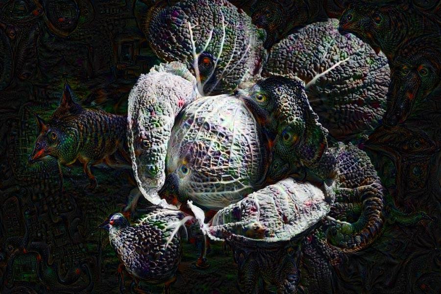 google deep dream photography project