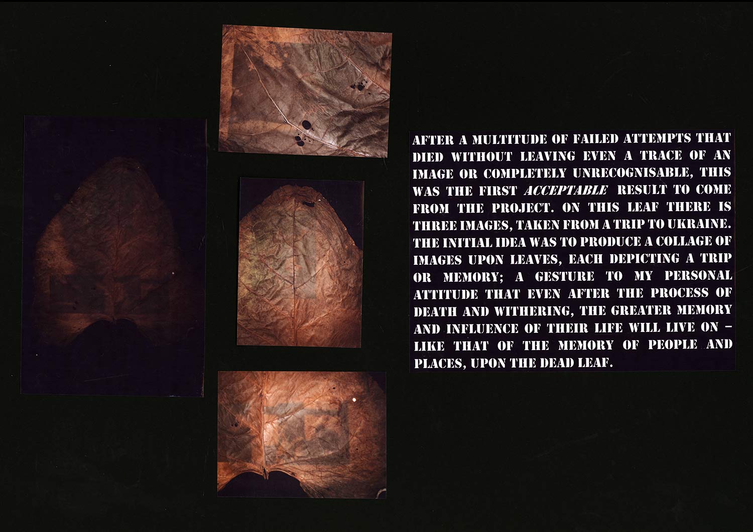 chlorophyll print a level photography project