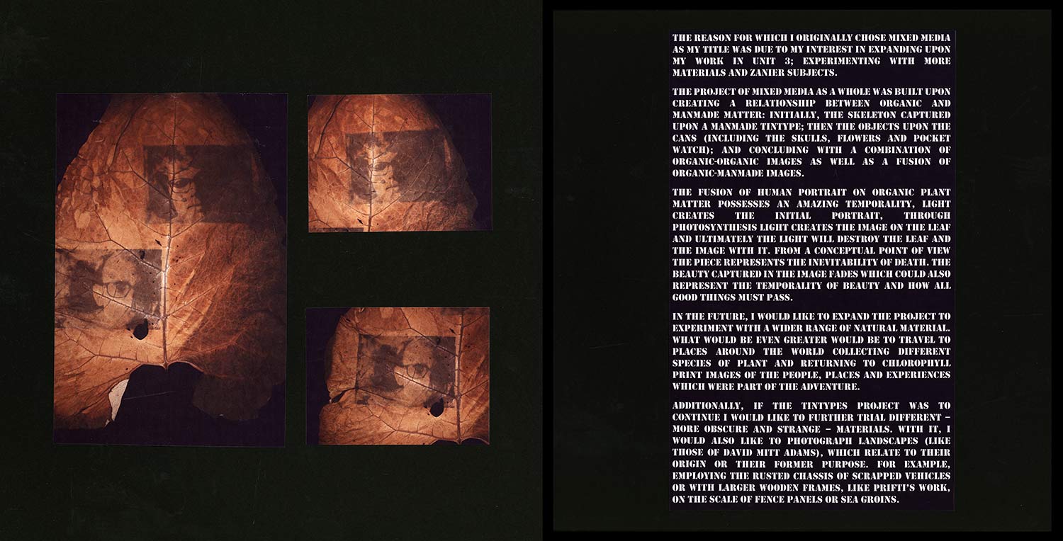 chlorophyll print a level photography project