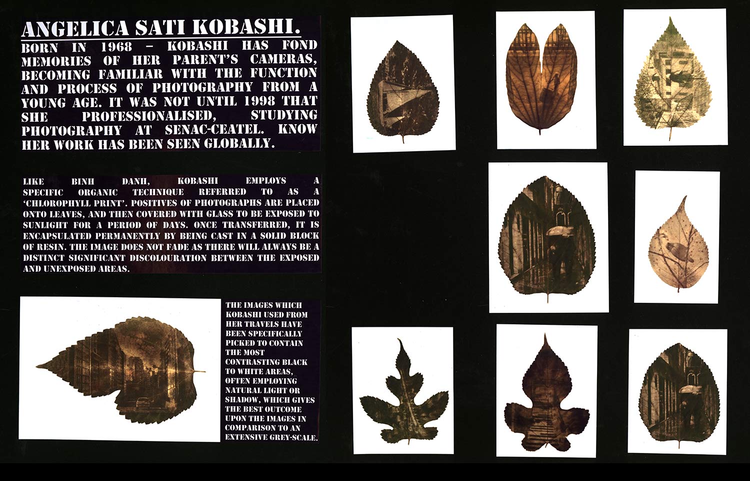 a level photography research