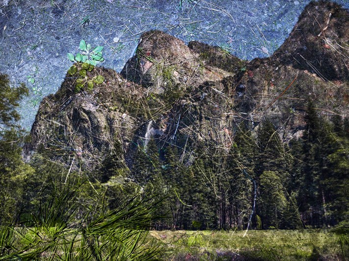 abelardo morel tent camera