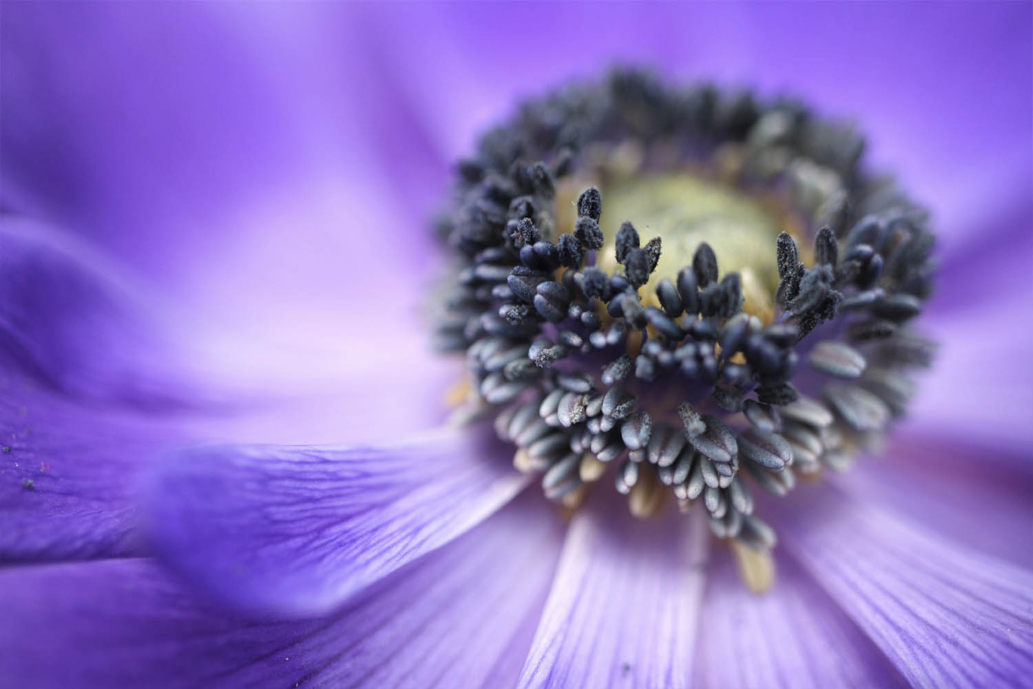 the rule of thirds tension points