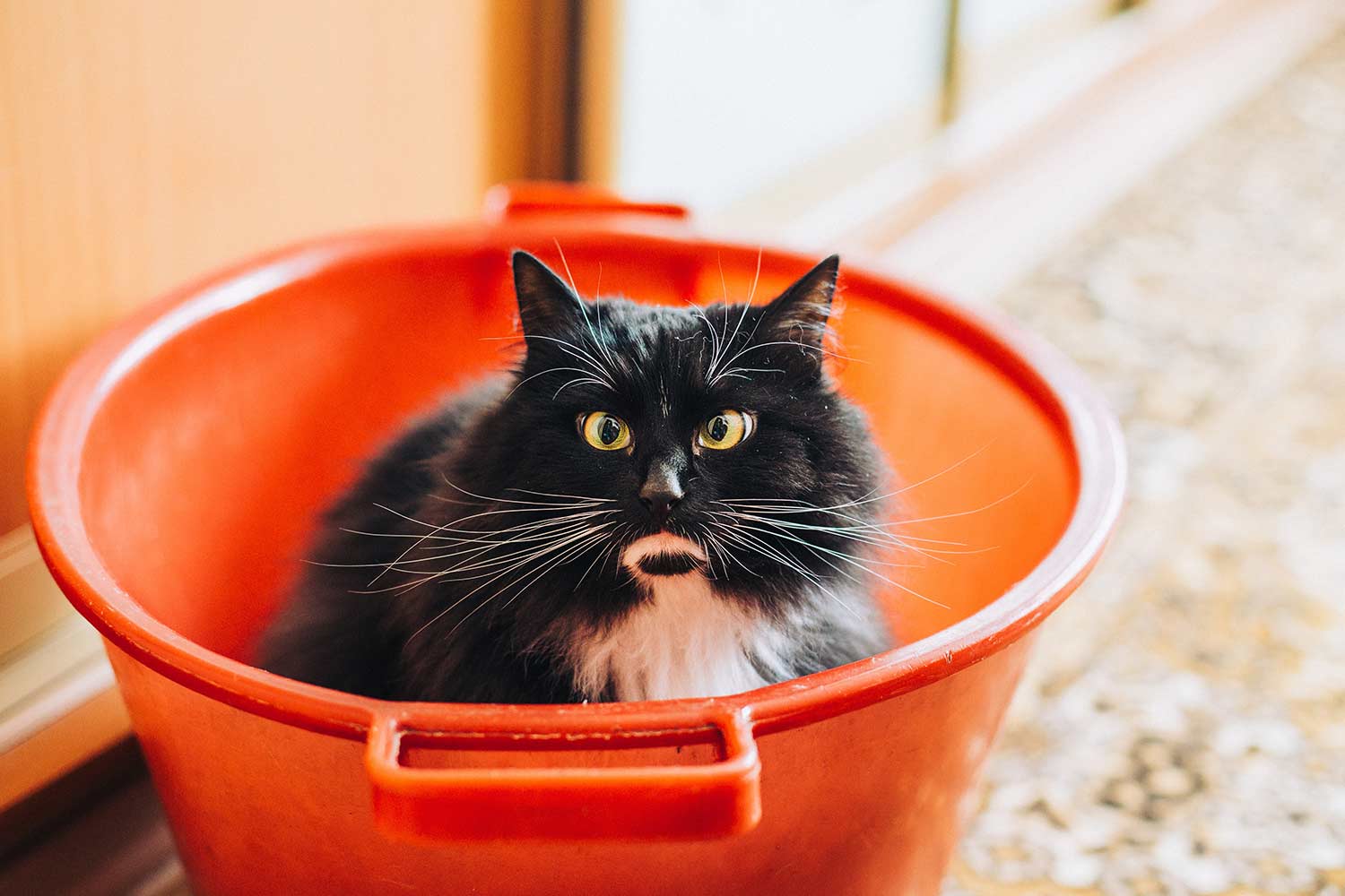 bucket exposure