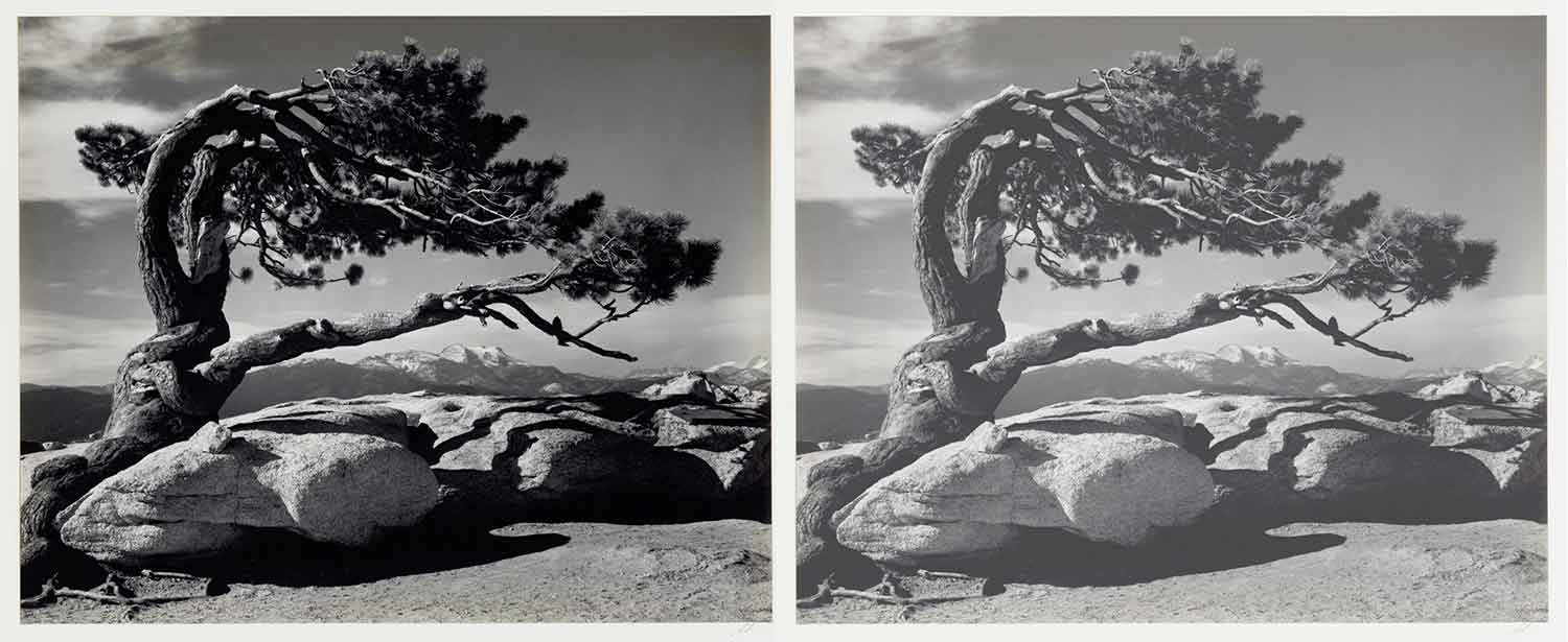 black and white photography