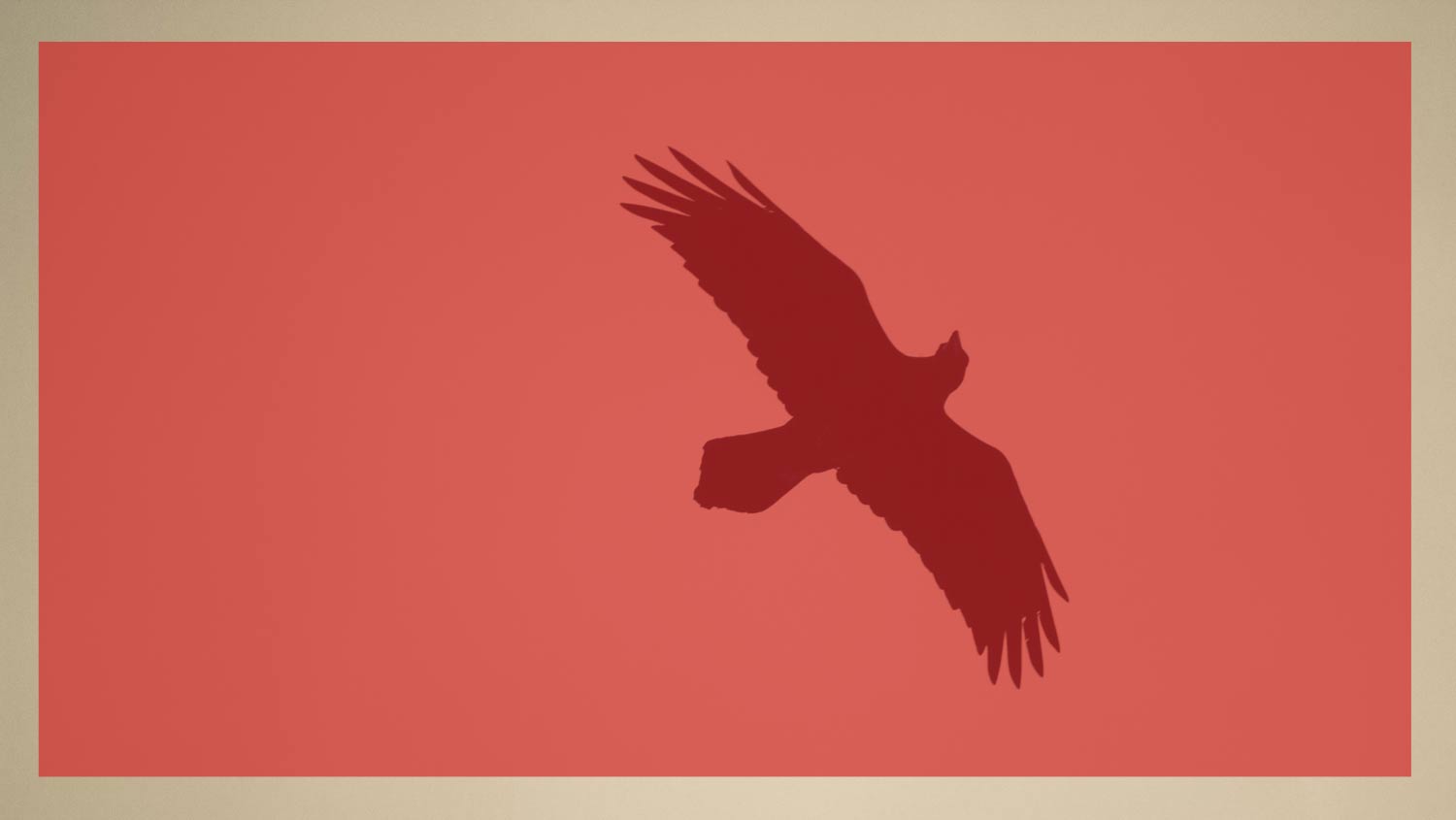 bird-photography-metering-p