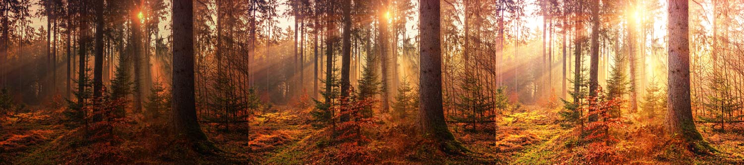 how to do exposure bracketing