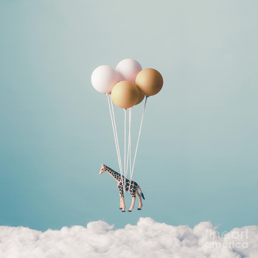 whimsical still life photograph of a giraffe