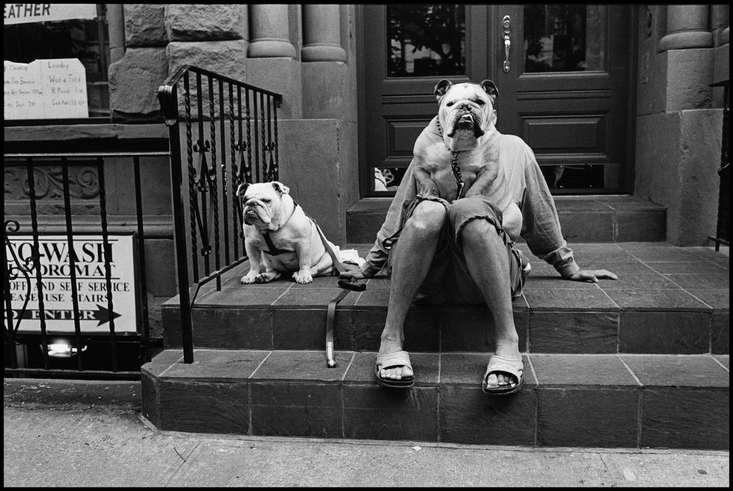 elliot erwitt