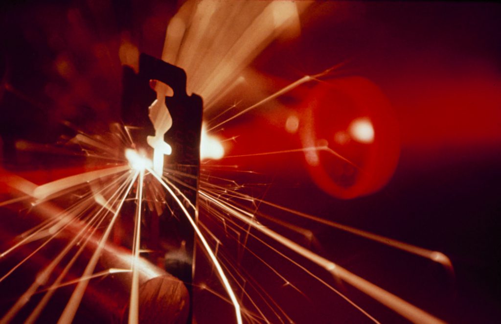 fritz goro macro photographer