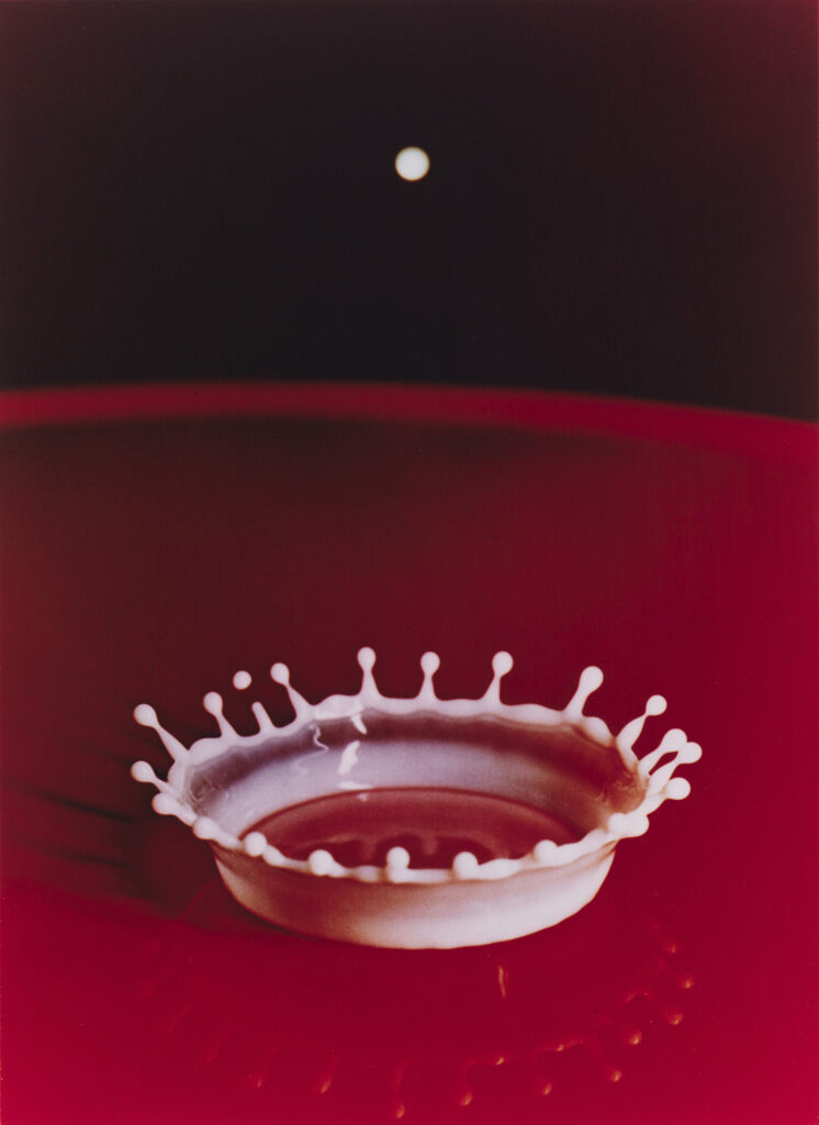 harold edgerton macro photography