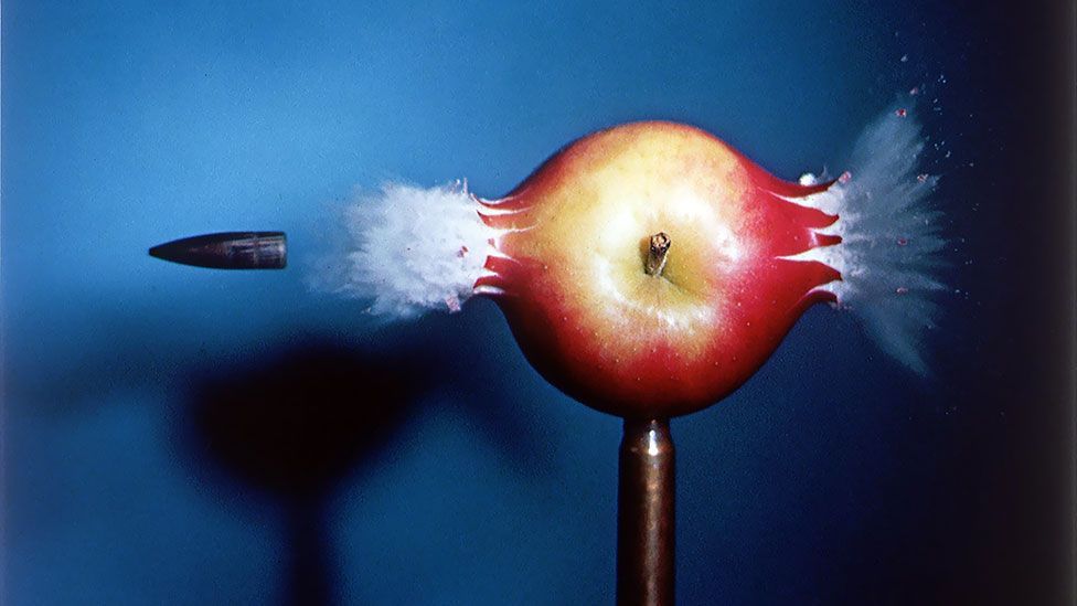 harold edgerton macro photography
