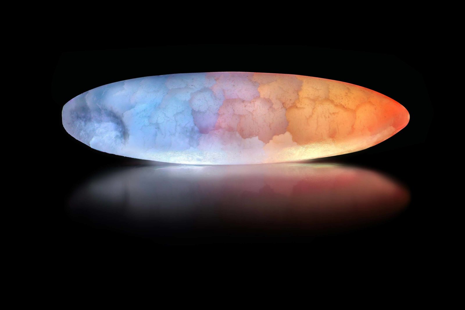 Roni-Hendrawan macro pictures