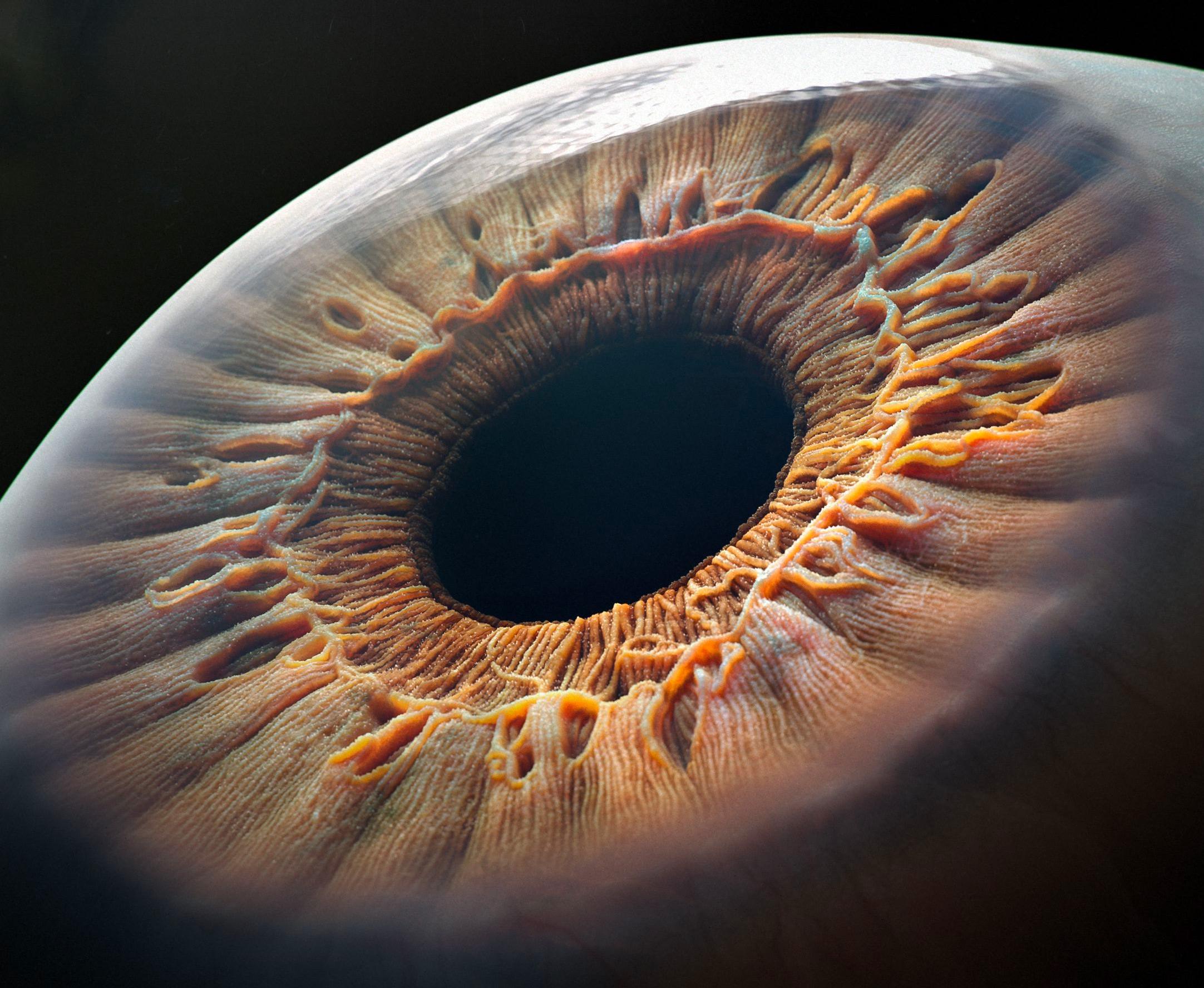 macro eye photography