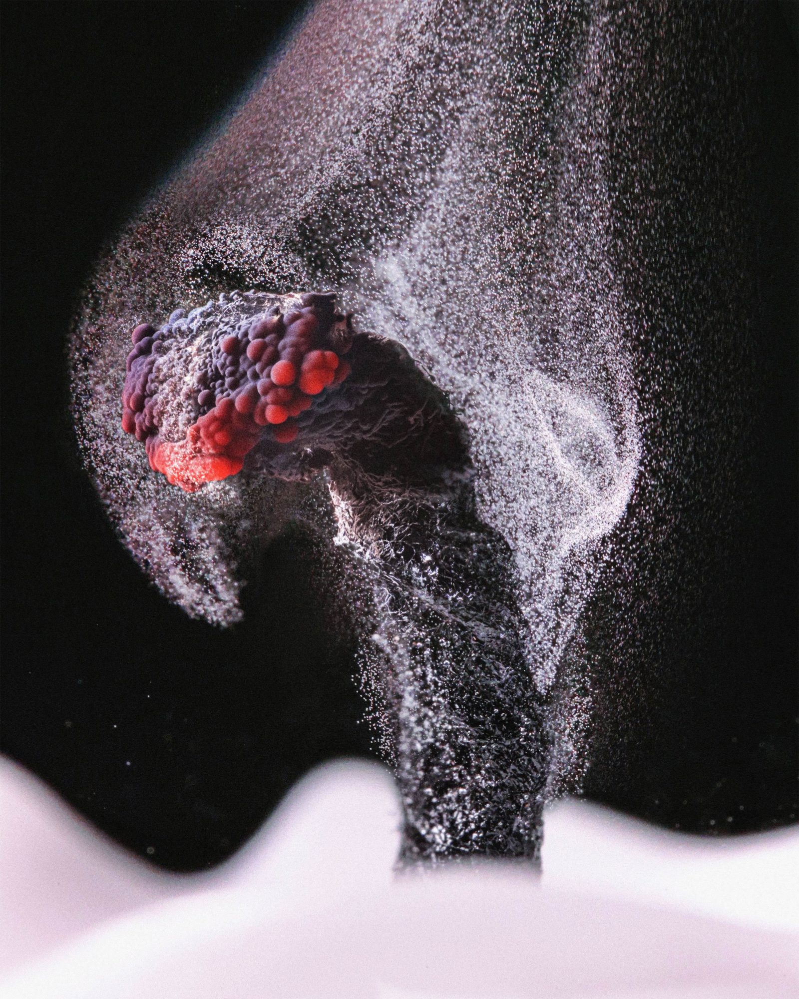 macro photograph Candle