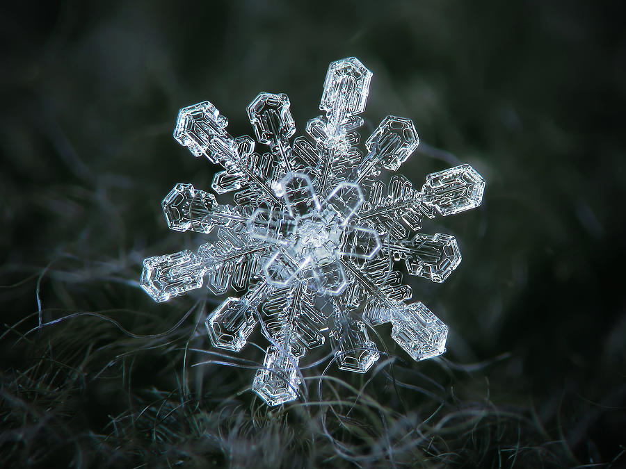 real-snowflake-macro-photograph