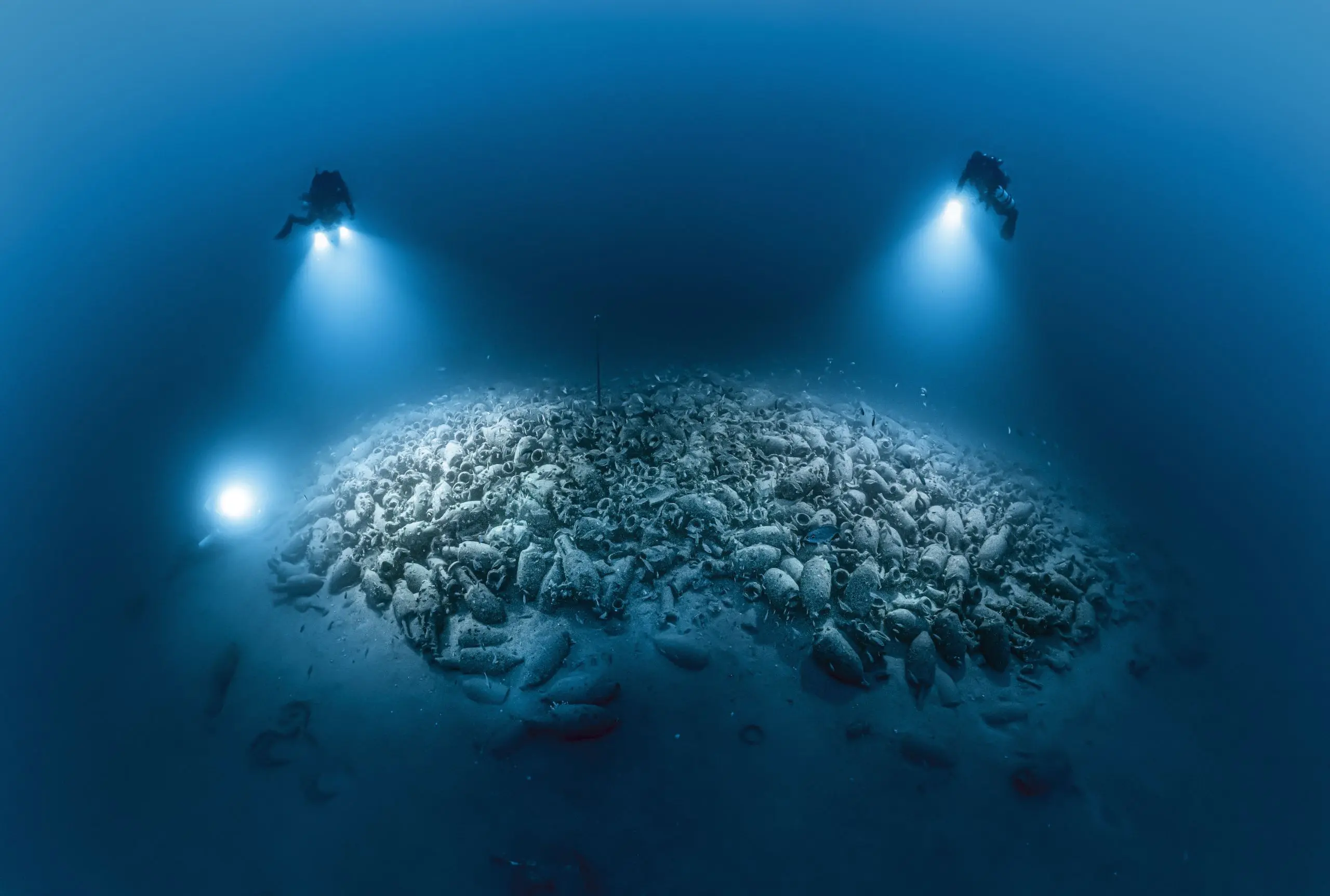 laurent ballesta underwater photographer