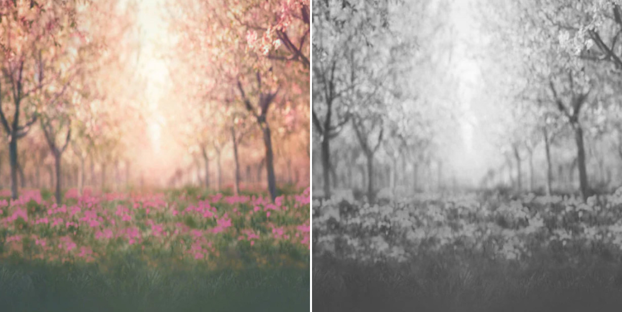 maternity backdrop idea