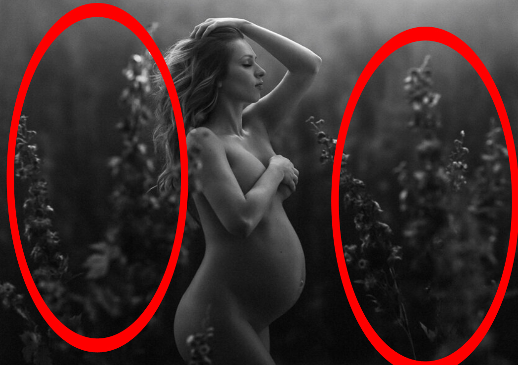 maternity backdrop idea