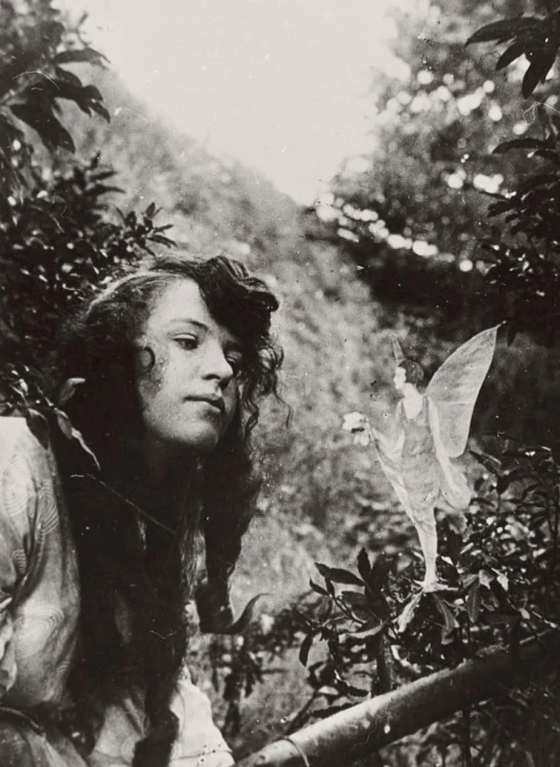 cottingly fairies elsie