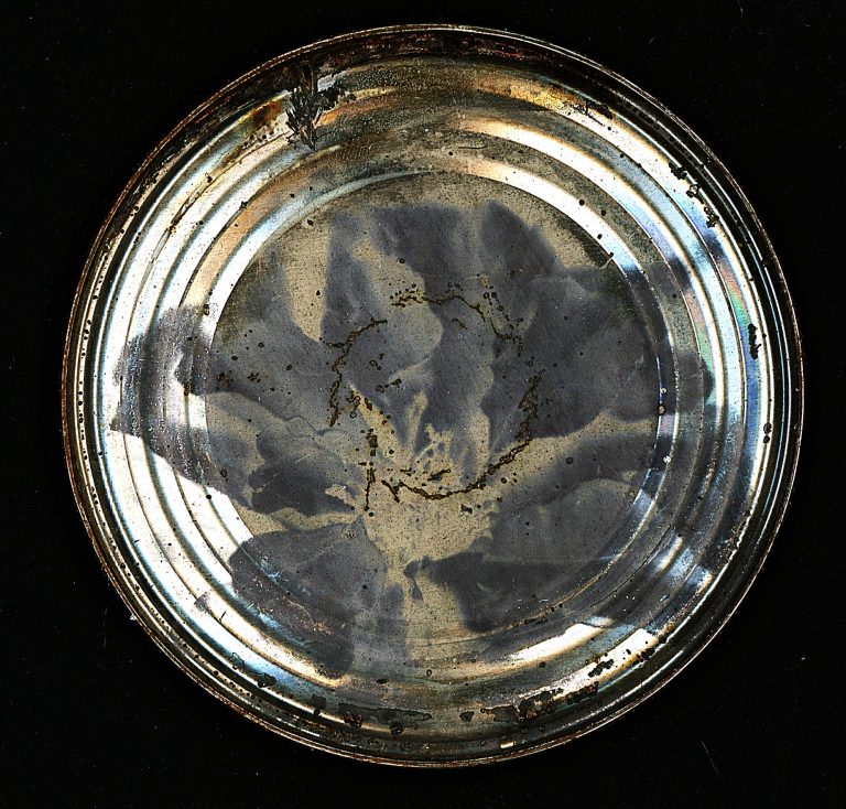 flower photograh tin type on tin can