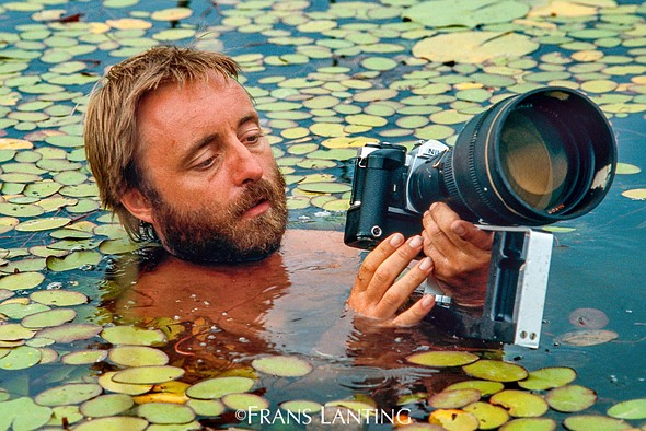 famous nature photographers work