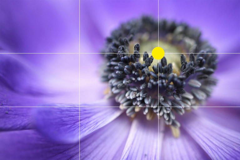 What is the rule of thirds in photography? - Photography Project