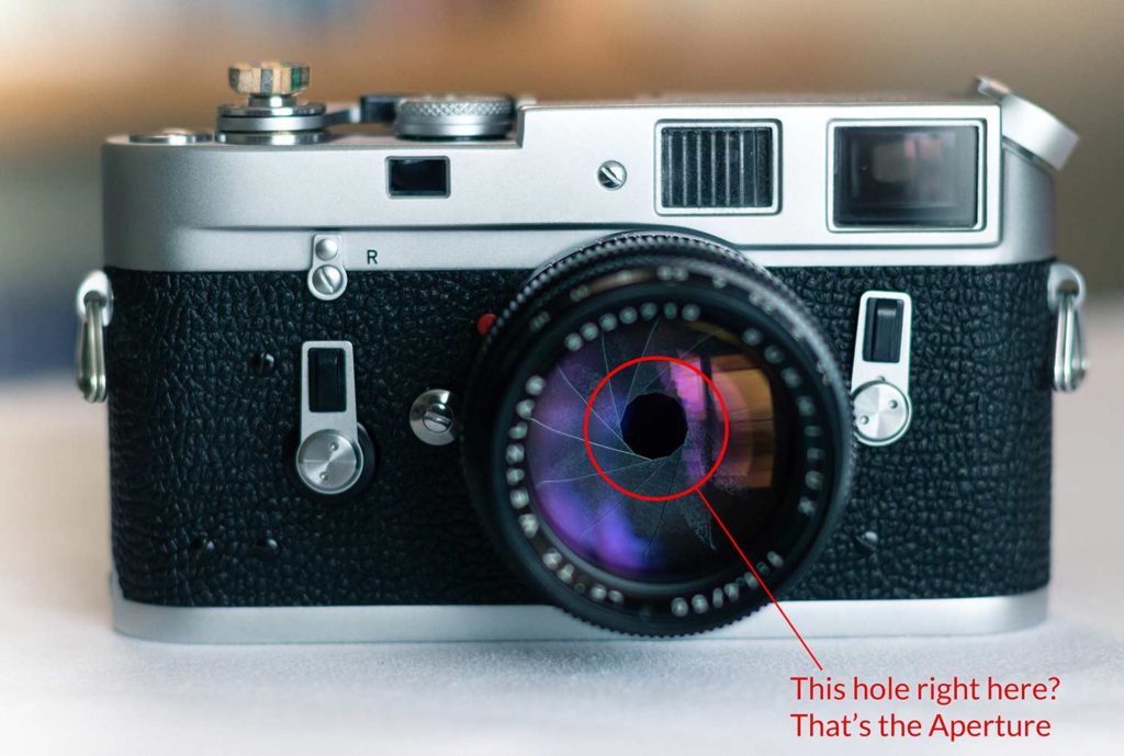 What is Aperture? - Photography Project