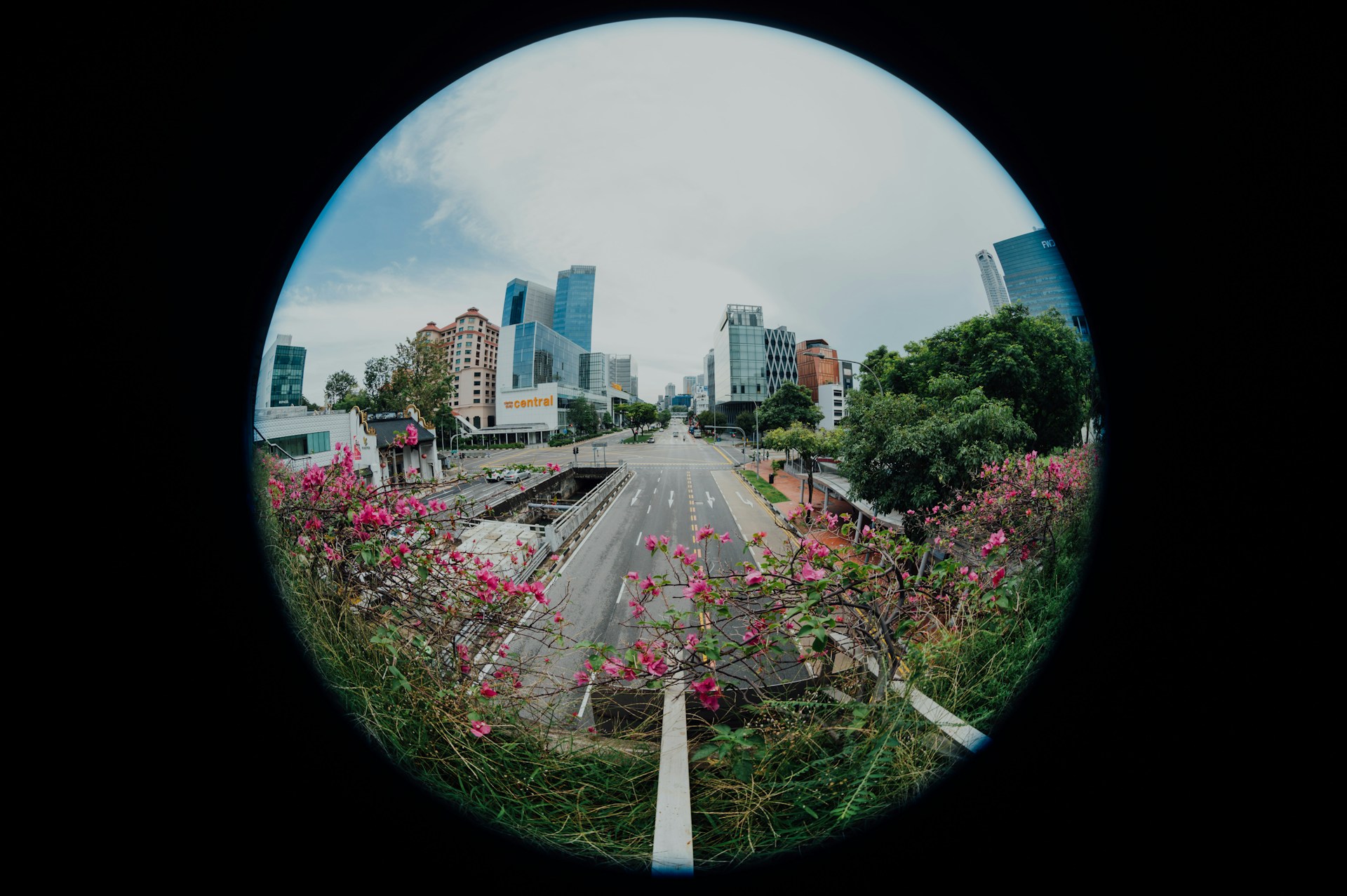 fisheye lens wide angle