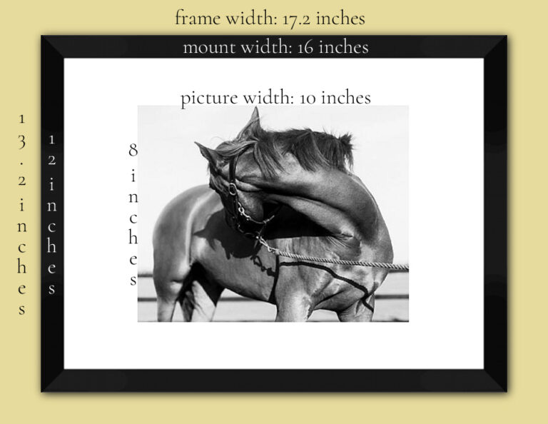 frame and mount width for 10x8